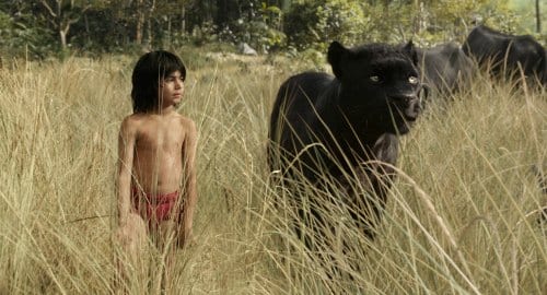 The Jungle Book - Mowgli & Bagheera