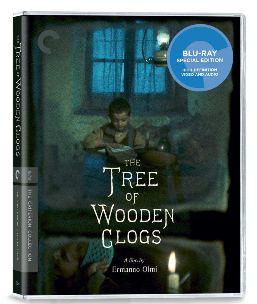 tree-of-wooden-clogs-bd