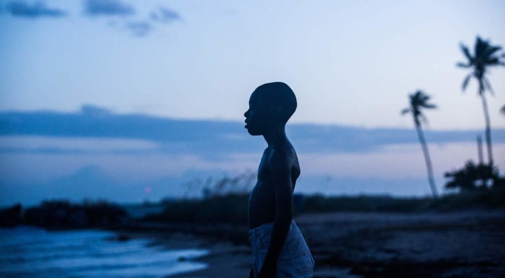 alex-hibbert-moonlight